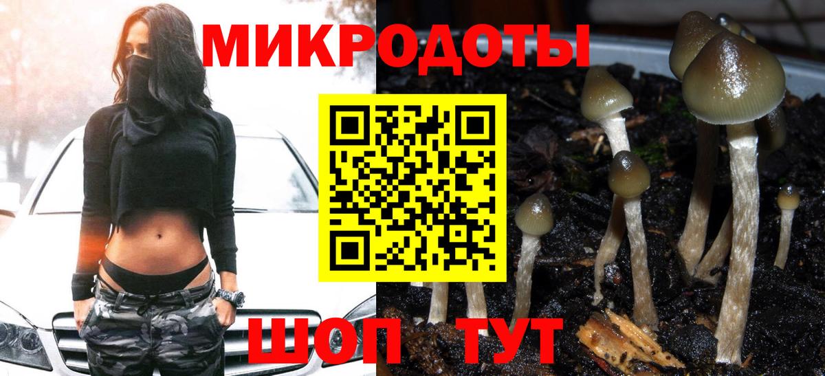 Кызыл  Псилоцибиновые грибы Psilocybine cubensis  Галлюциногенные грибы прущие грибы  Вход с VPN 