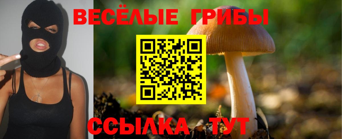 Галлюциногенные грибы Psilocybe Кызыл